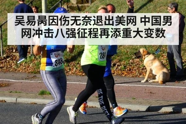 吴易昺因伤无奈退出美网 中国男网冲击八强征程再添重大变数